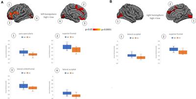 Neuroanatomical and Functional Correlates of Cognitive and Affective Empathy in Young Healthy Adults